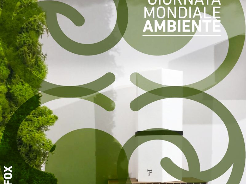 cartotecnica-moderna-filosofia-green-2